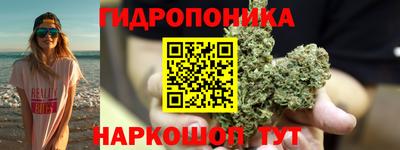ешки Лесосибирск