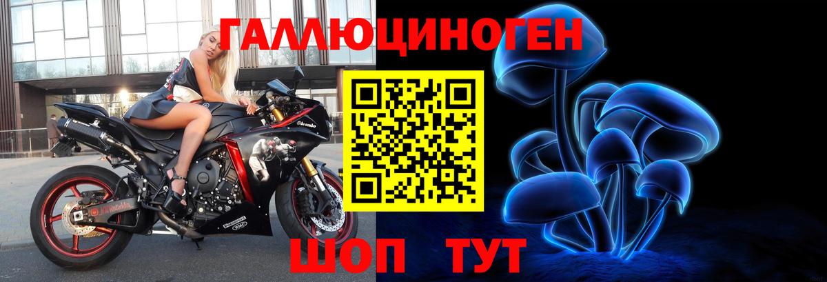 Дмитров  Галлюциногенные грибы прущие грибы  что такое наркотик  Вход с VPN  Псилоцибиновые грибы мухоморы 